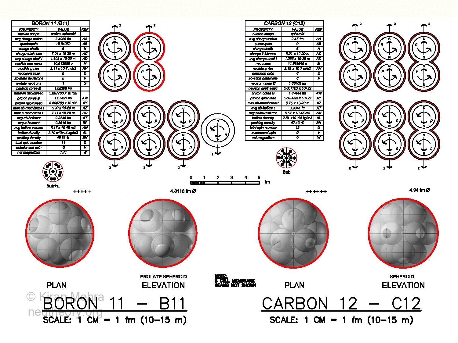 3D graphic images of deuteron and neutron cells clustering to form boron-11 and carbon-12 nuclides