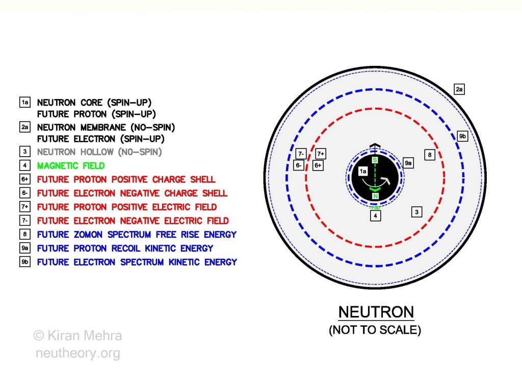 black circle shaded grey with a black ball at its center representing a neutron. There is one dotted red circle and four dotted blue circles in the grey area representing the future division of spin and rise energy