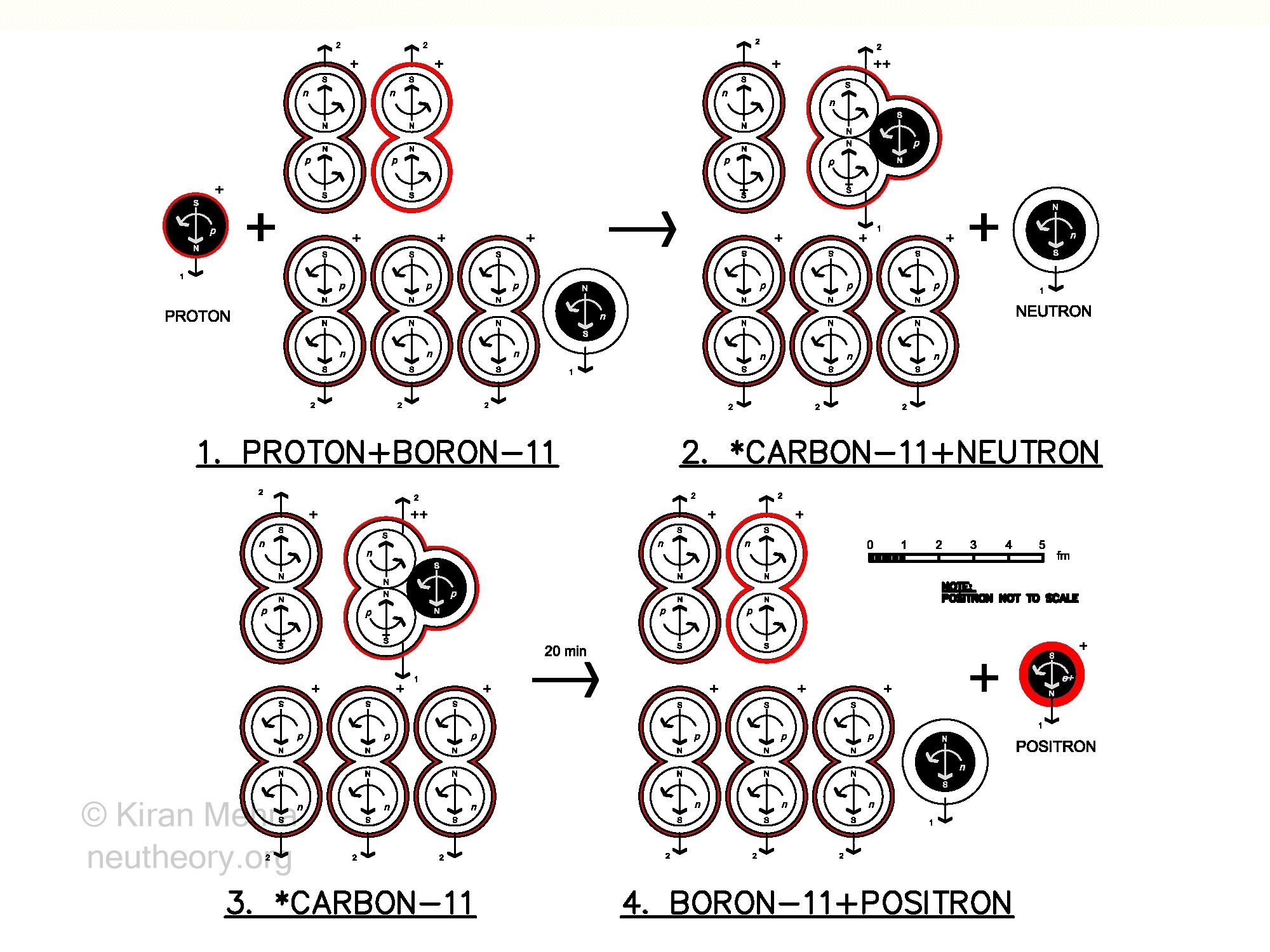 Four diagrams showing one process by which a positron is made from boron-11