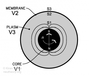 black circle shaded grey with a black ball at its center with a spin arrow and magnetic field lines